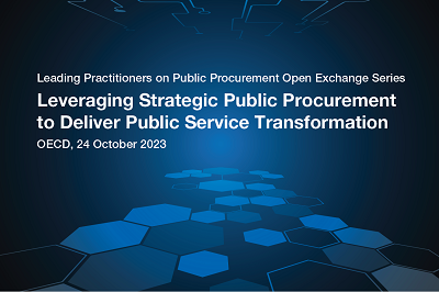 Leveraging Strategic Public Procurement to Deliver Public Service Transformation